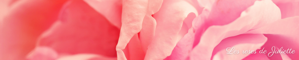 les roses de juliette bas de page signature